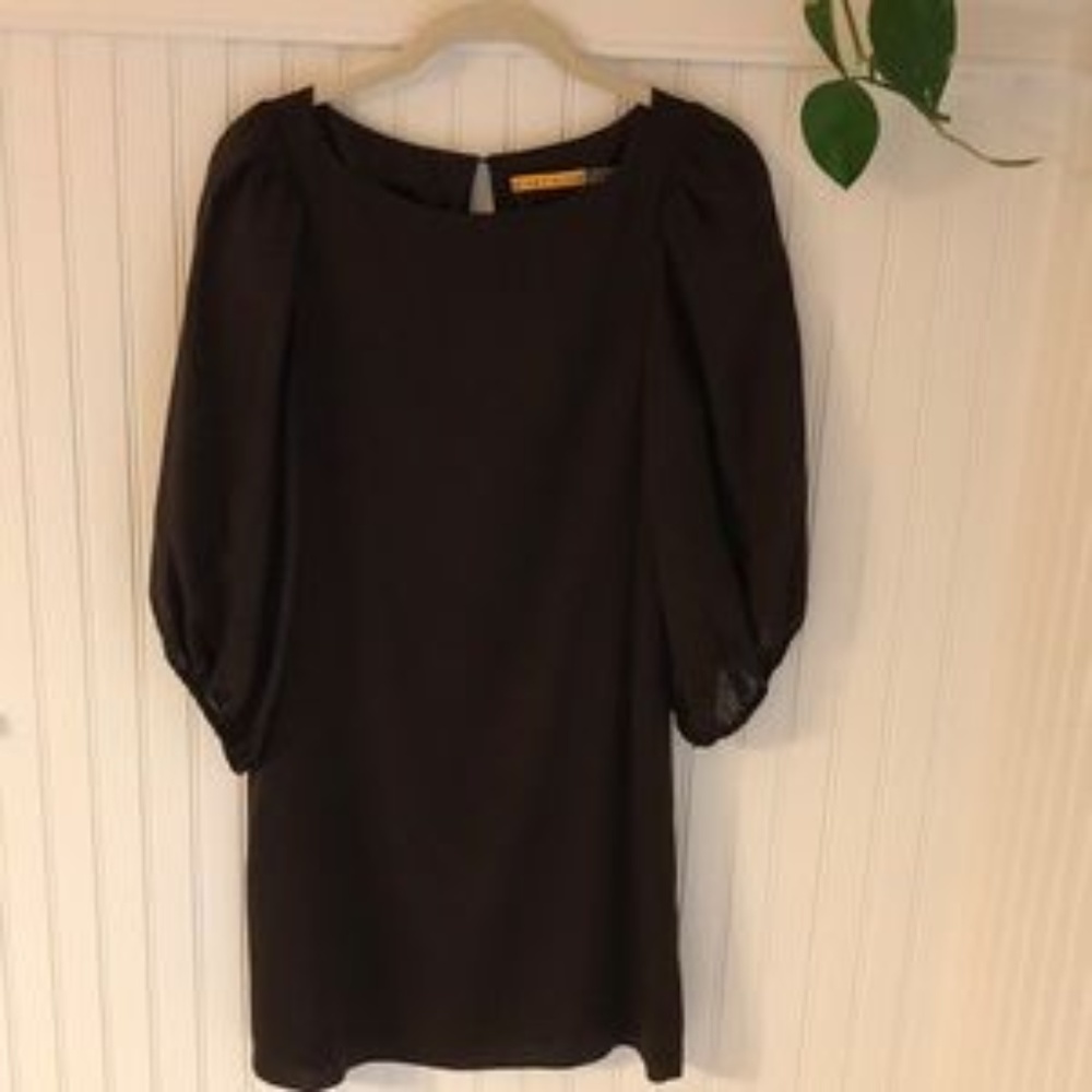 Alice & Olivia Coffee Colored Silk Dress